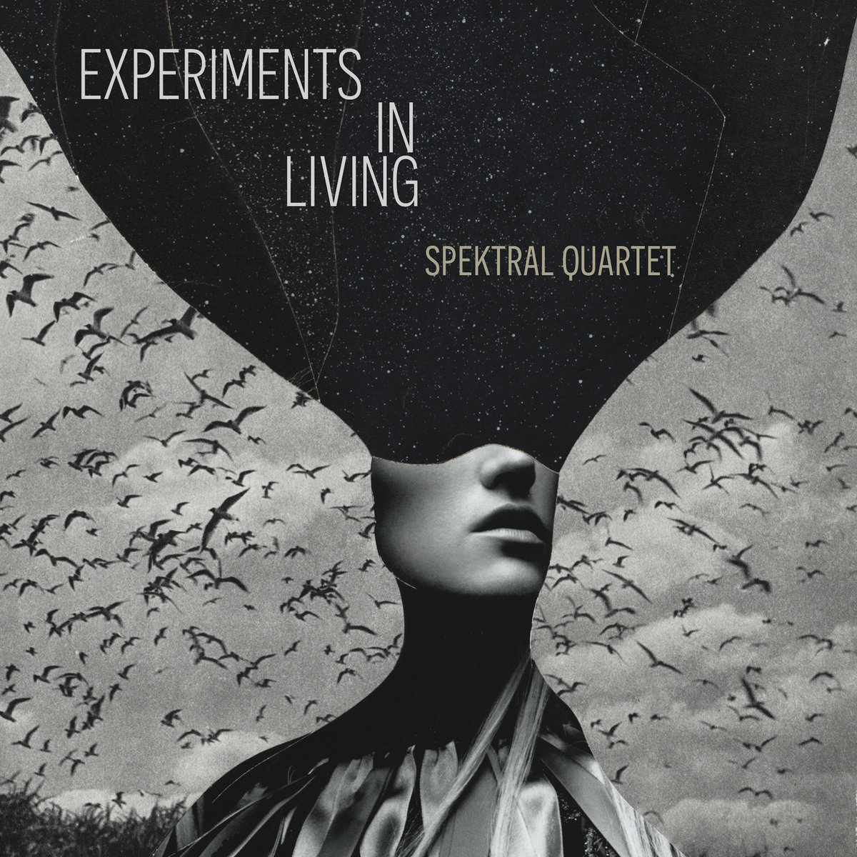 Experiments in Living album cover
